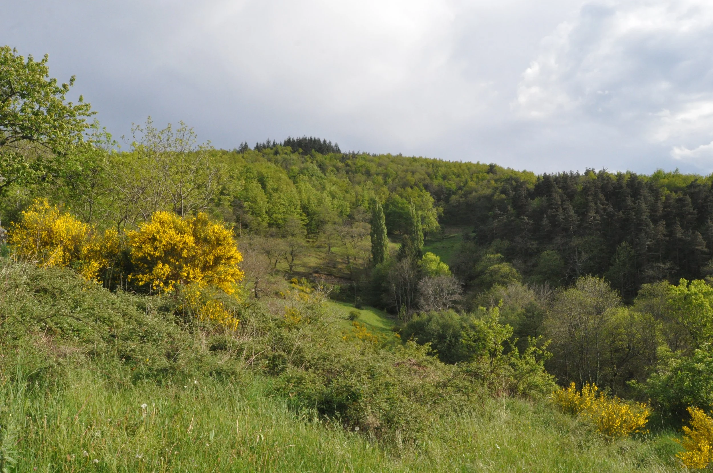 Paysage d'Ardèche