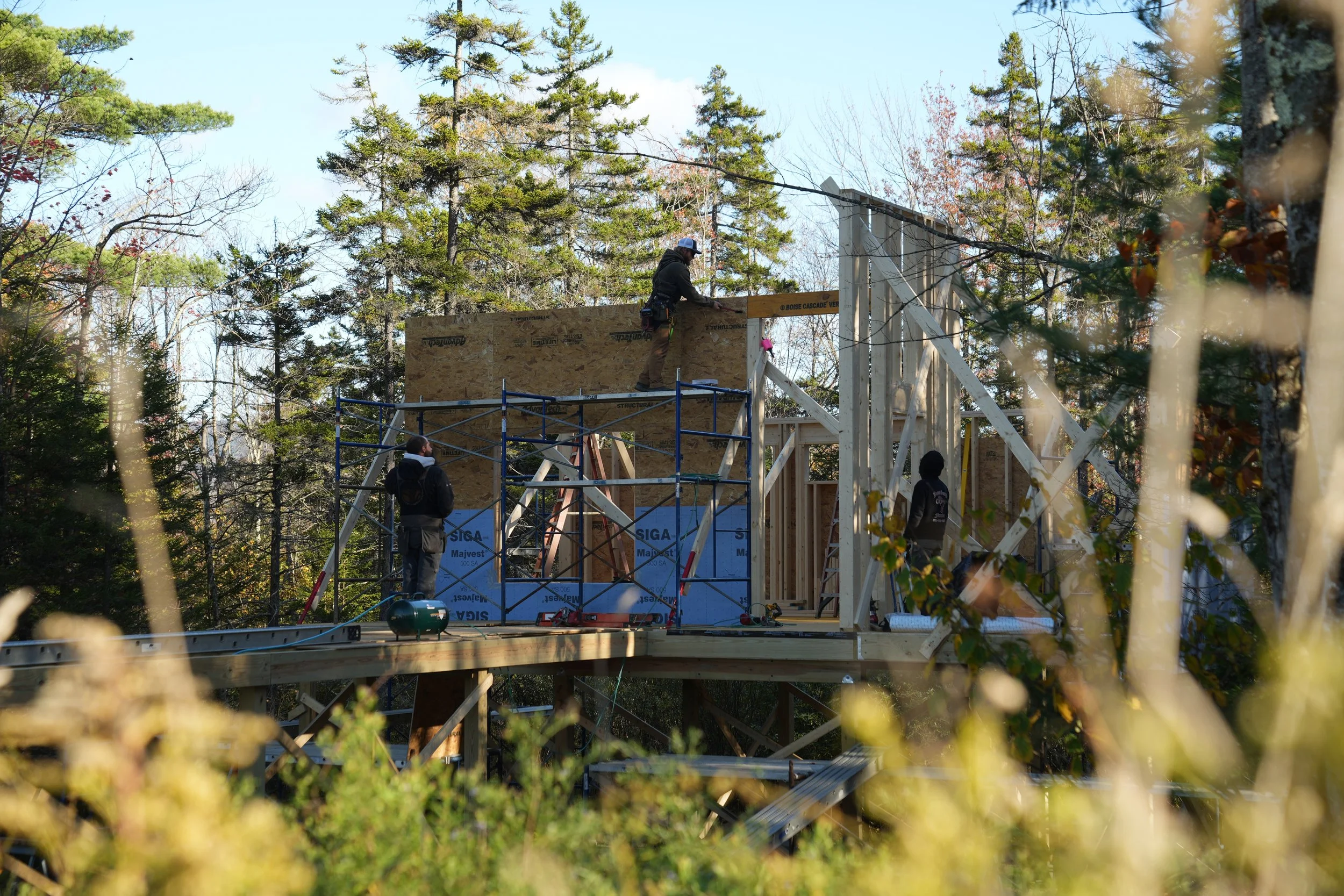 construction workers building a wooden house frame in a forested area with trees and blue sky in the background.