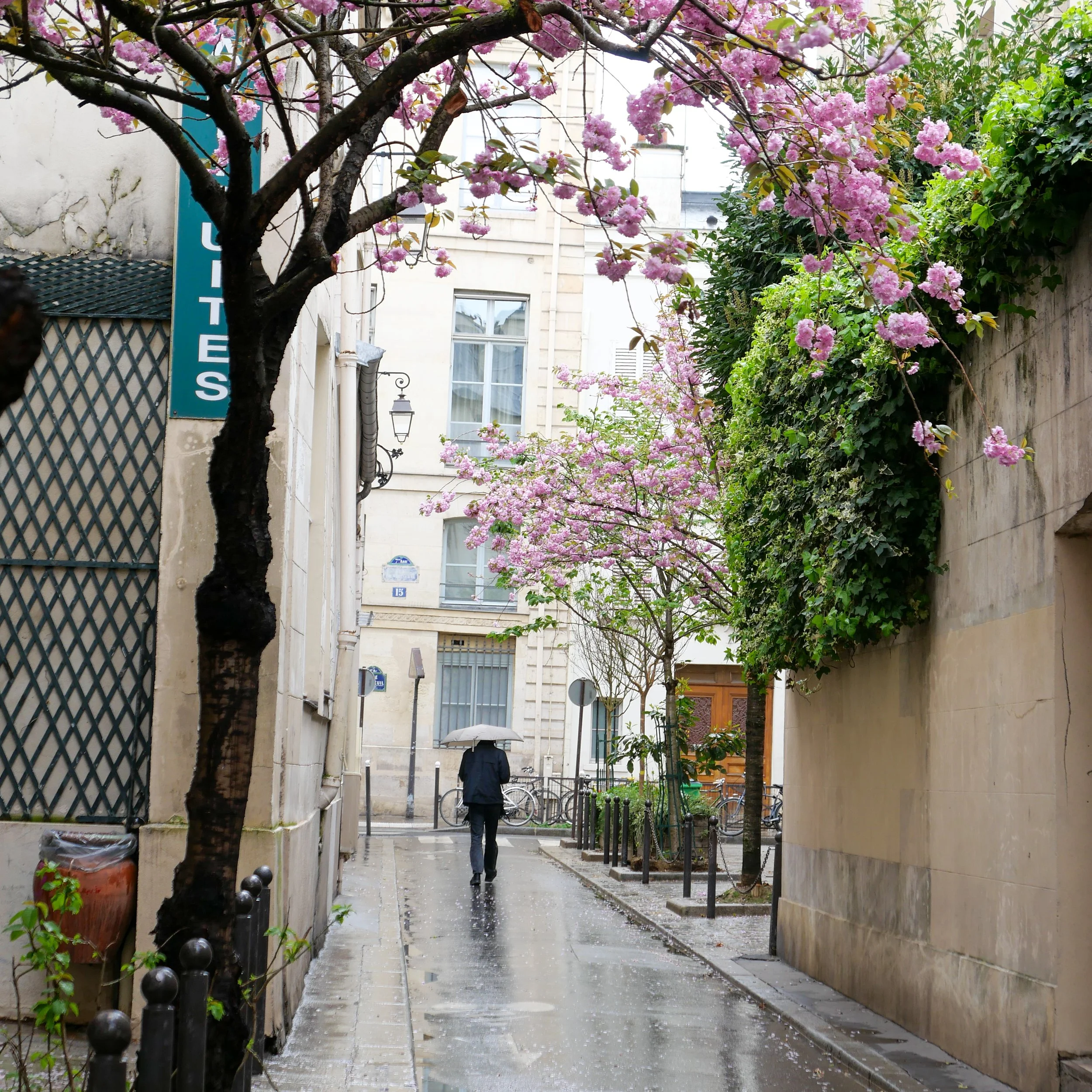 Rue Verneil, Paris, 2026