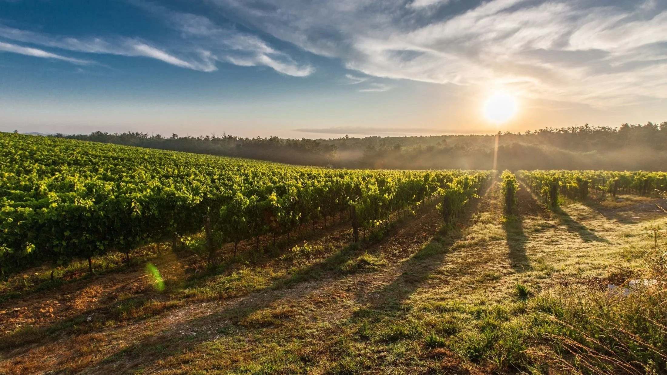 Why Tuscany Belongs on Every Wine Lover’s Travel List