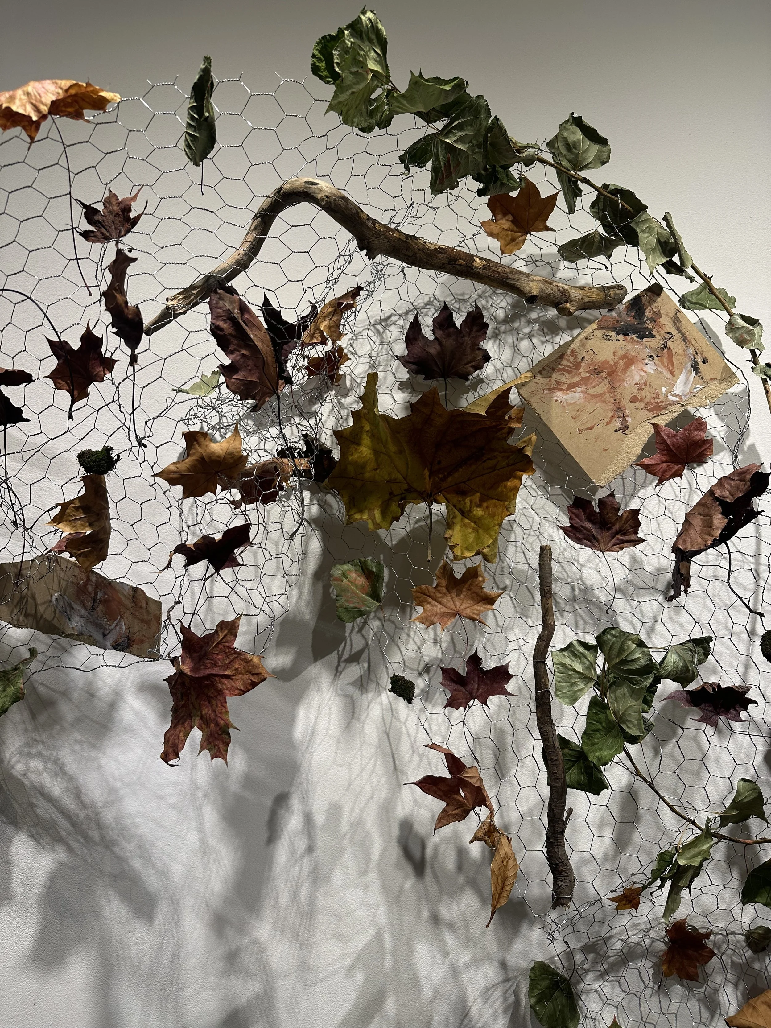 "Woven Nature" 2024; 
Chicken wire, leaves, branches, and small wood painting woven, and mounted to the wall
