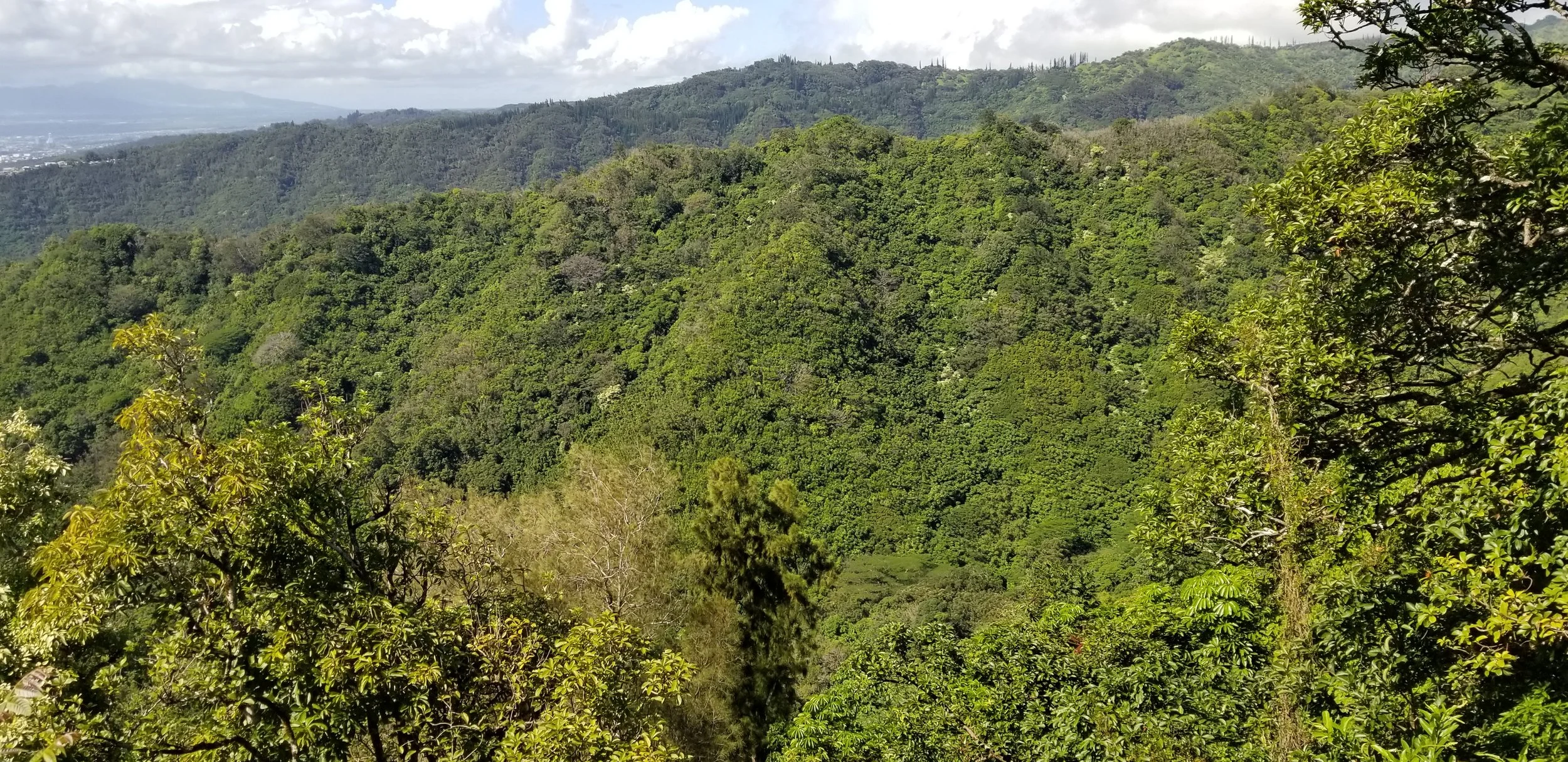 20181109_133530.jpg