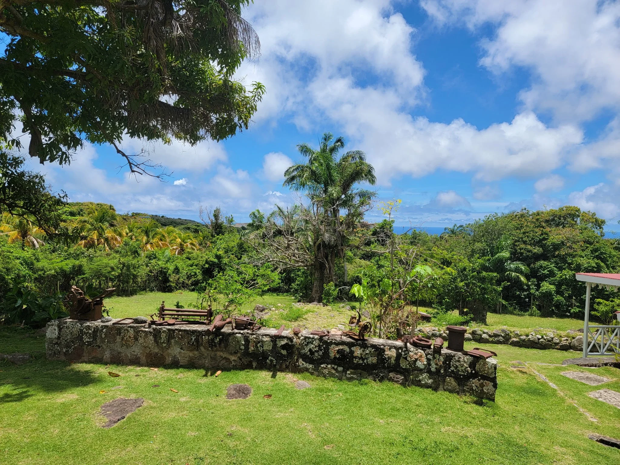 A lush backyard with green grass, a stone wall, and garden tools in the foreground. In the middle ground, there are trees including a tall palm and other trees with dense foliage. The background features a hilly landscape under a partly cloudy blue sky.