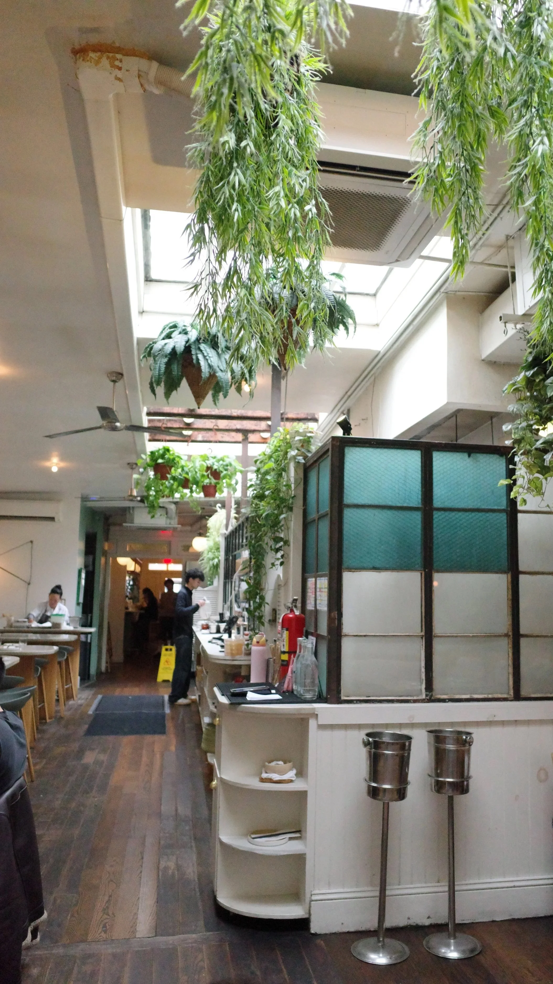 Interior of a restaurant with hanging green plants, a skylight ceiling, and staff working behind a counter. There are tables, chairs, and various kitchen items visible.