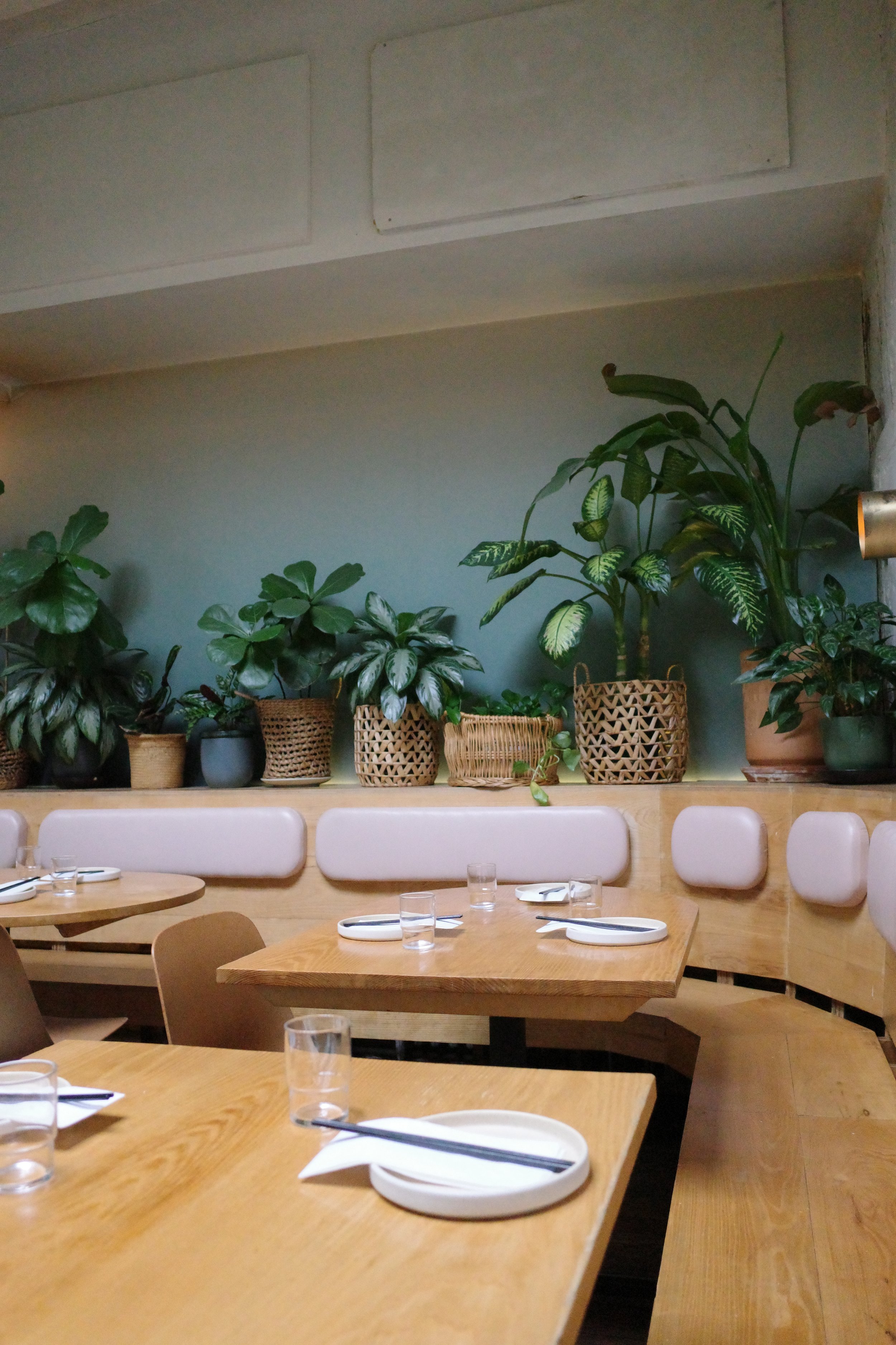 Interior of a restaurant with wooden tables, chairs, and a backdrop of green plants in woven pots on a shelf along the wall.