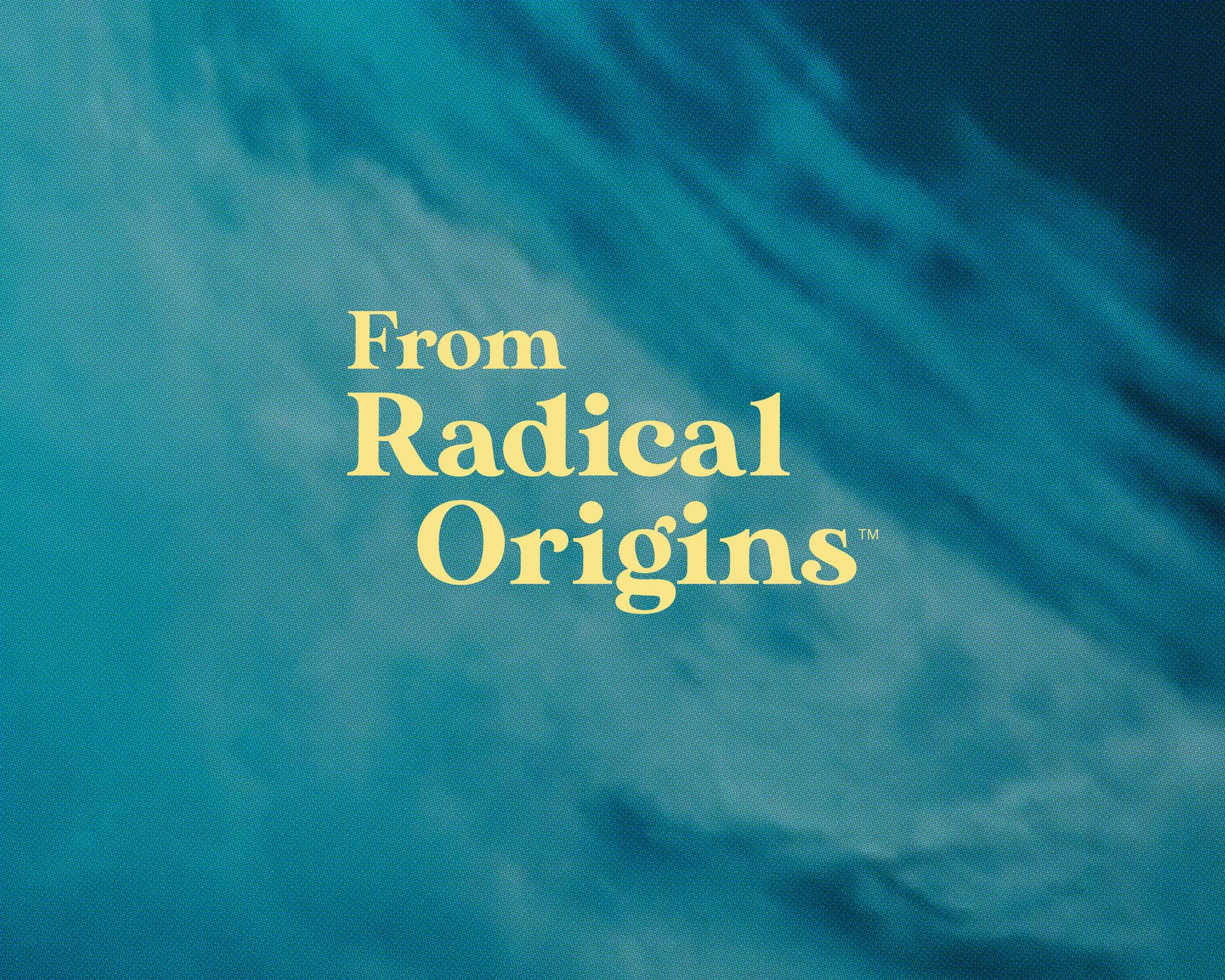 Visit Laguna Beach Radical Origins