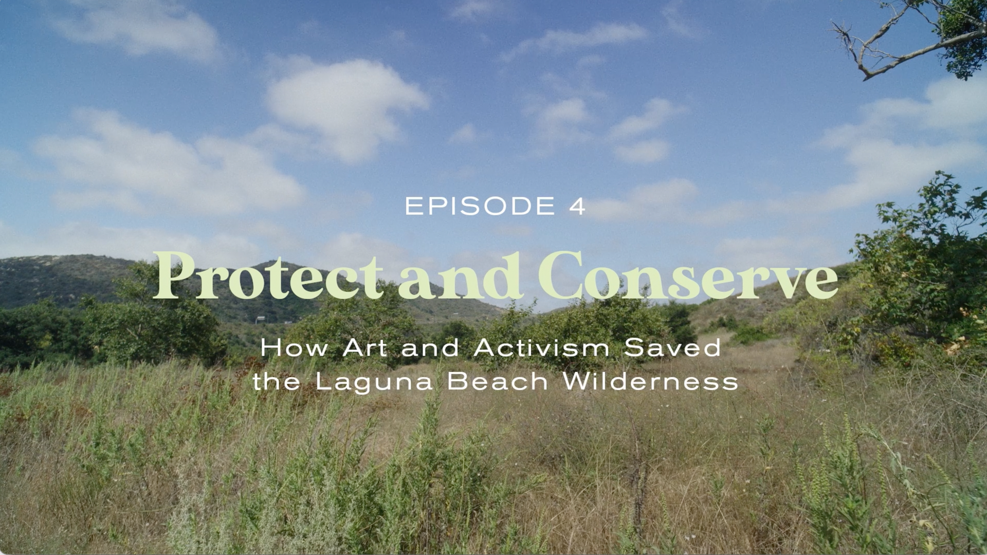 Protect and Conserve