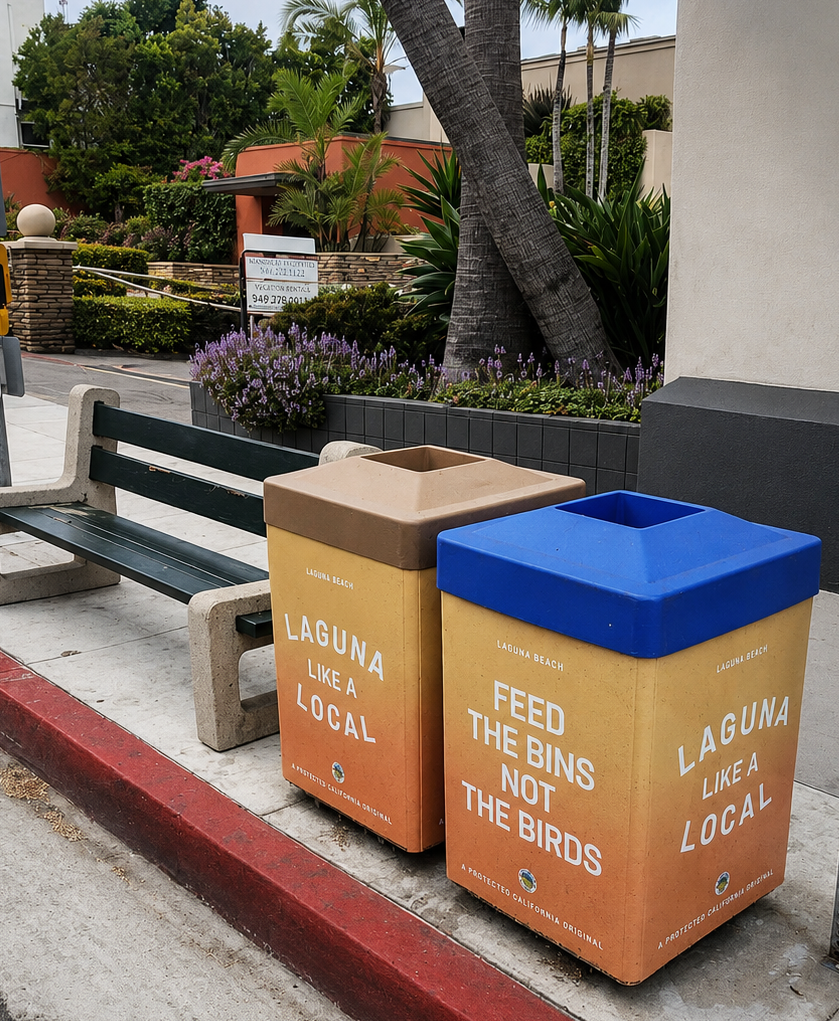 Clean Laguna — Bluebird Canyon