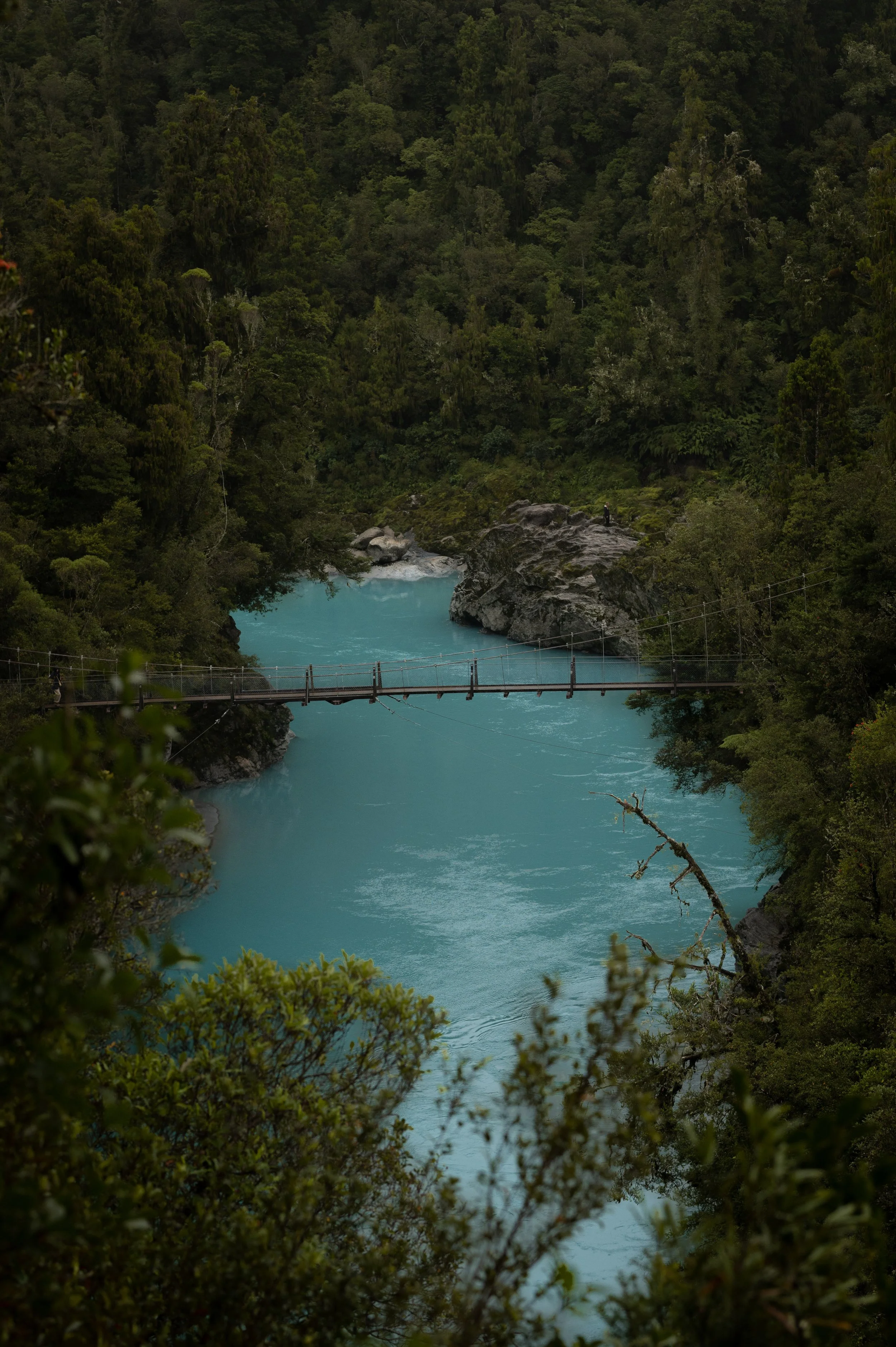 DSC_2117.jpg
