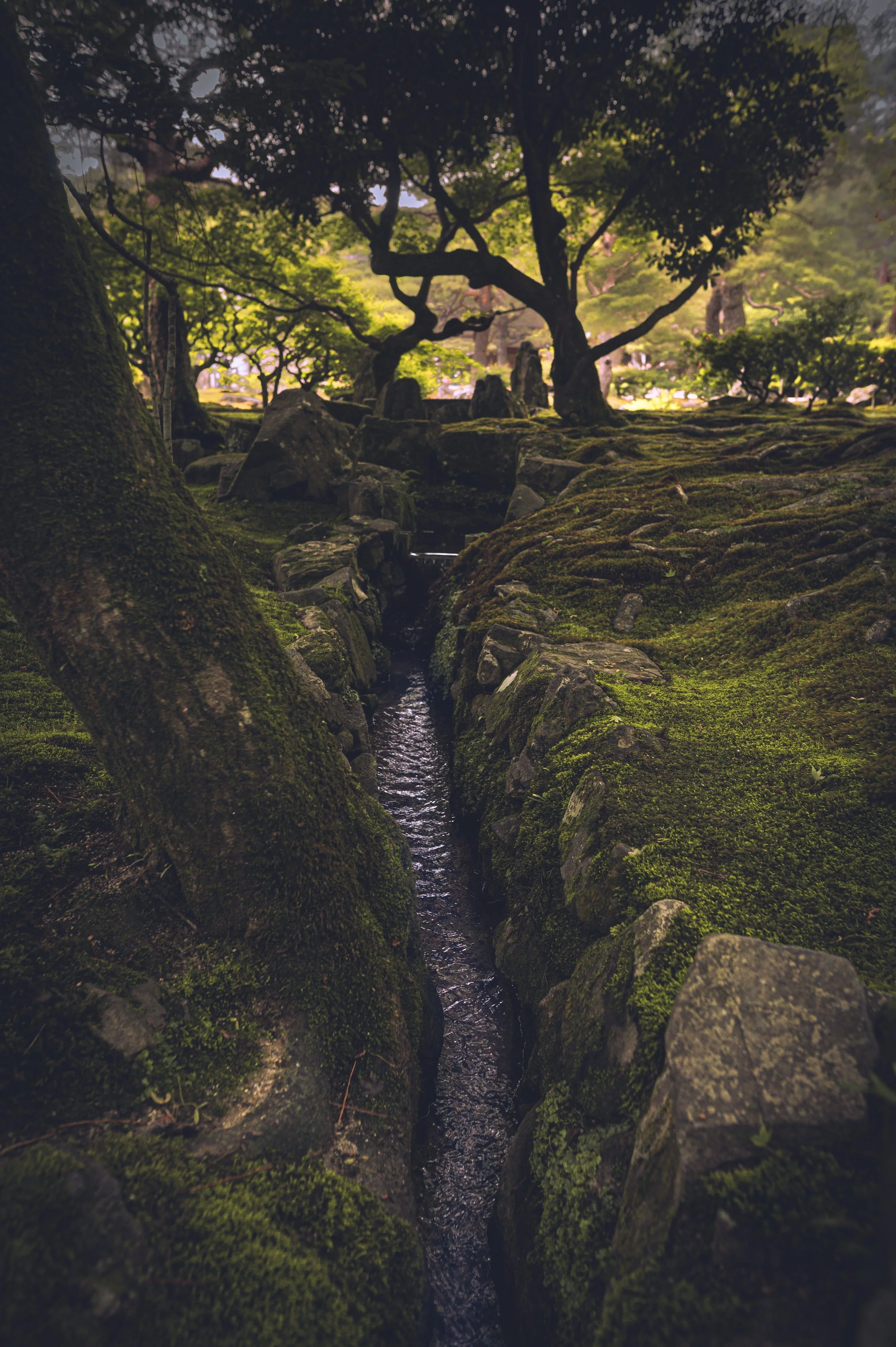 DSC_2570.jpg