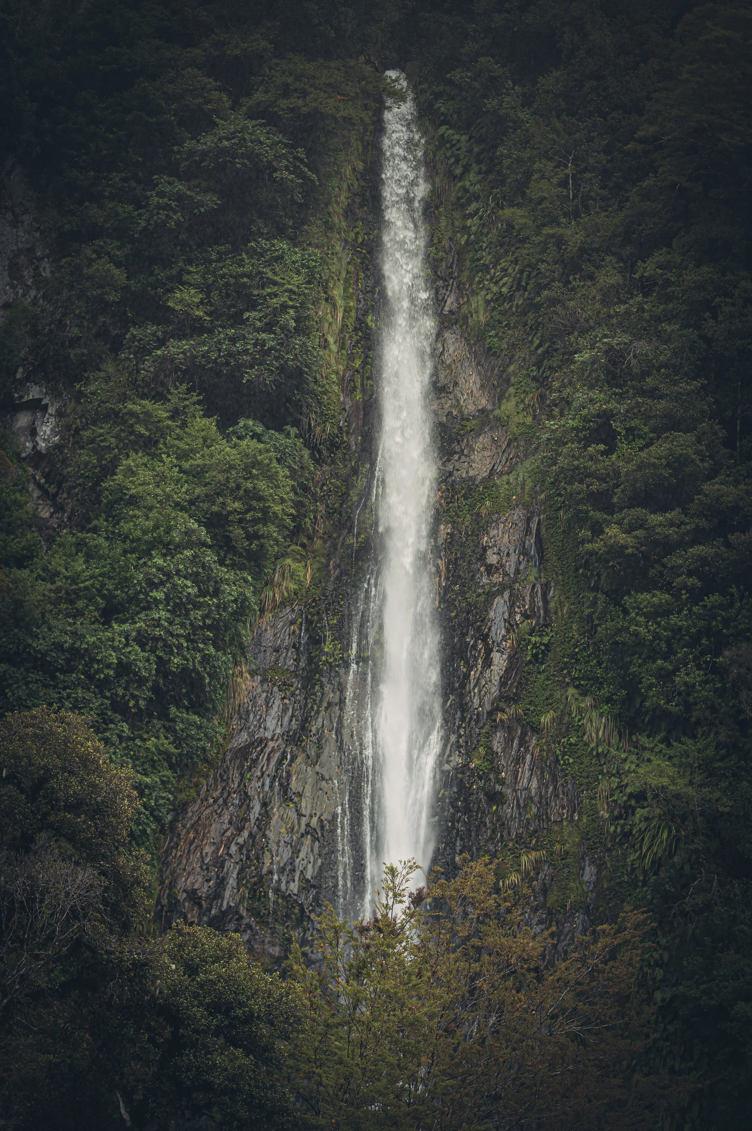 DSC_1873-Edit.jpg