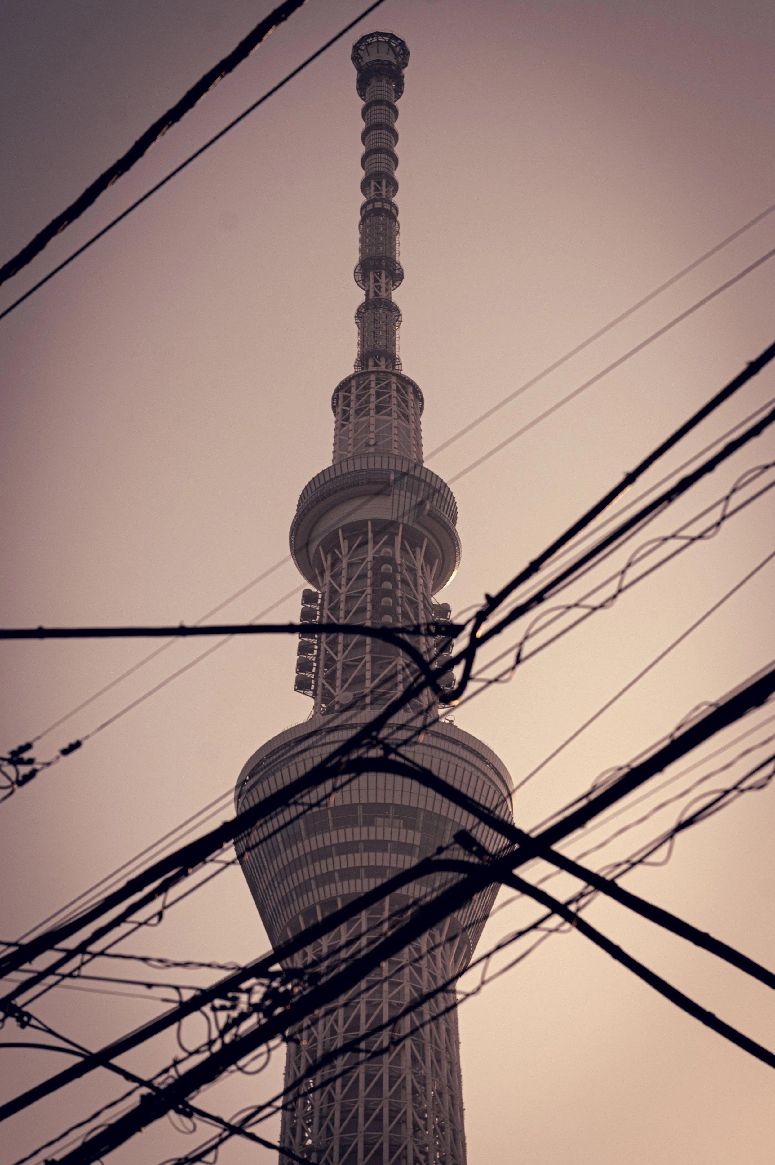 Travel
