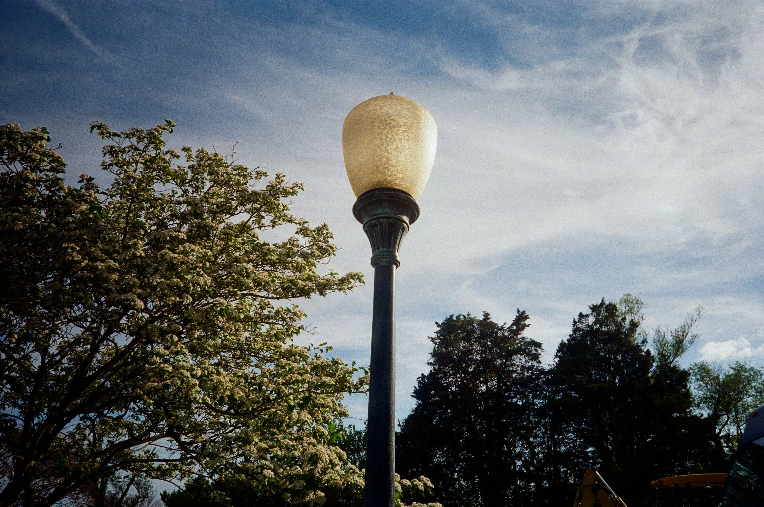 IMG_2363.jpeg