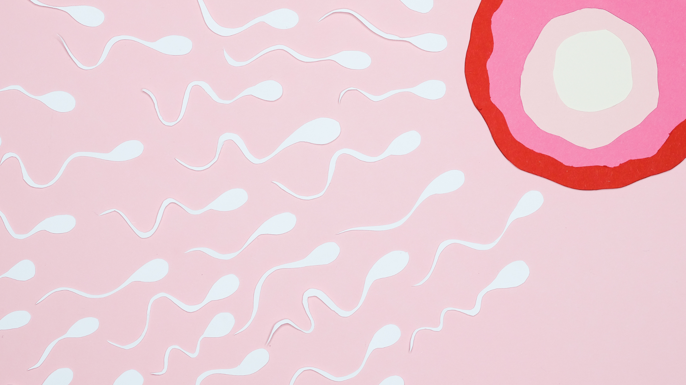Low AMH and Natural Fertility: What You Can Do Right Now