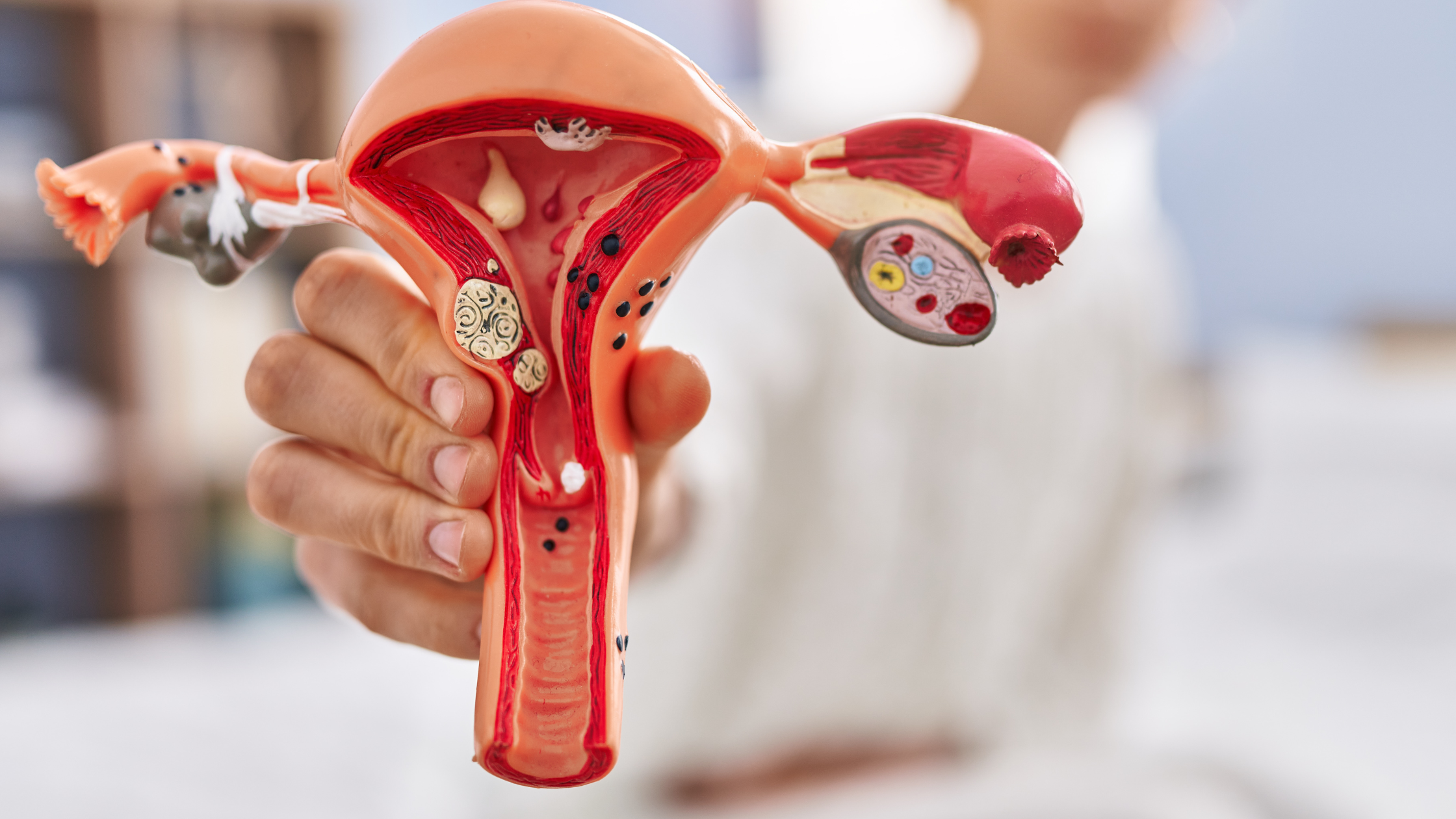 Blocked Fallopian Tubes: Natural Treatment Options