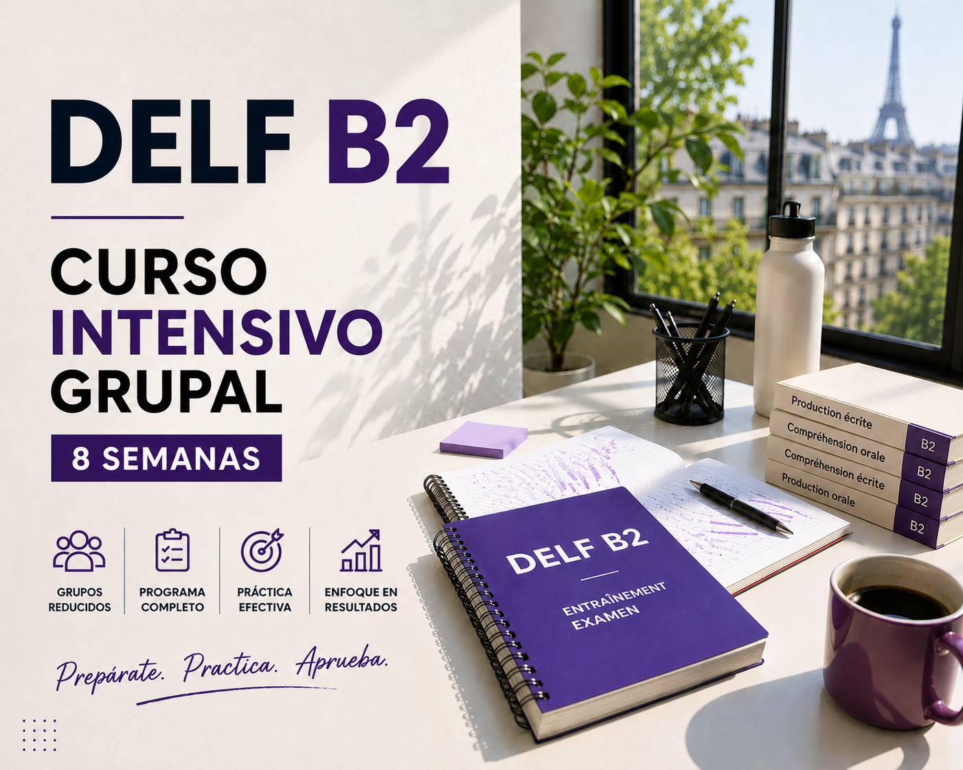 Cursos intensivos de preparación DELF y DALF con un profesor nativo de francés. Formación eficaz y personalizada para aprobar con confianza los exámenes oficiales.