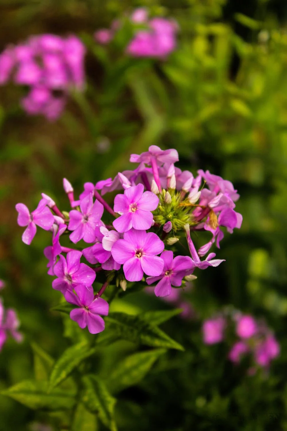 image-asset (3).jpeg