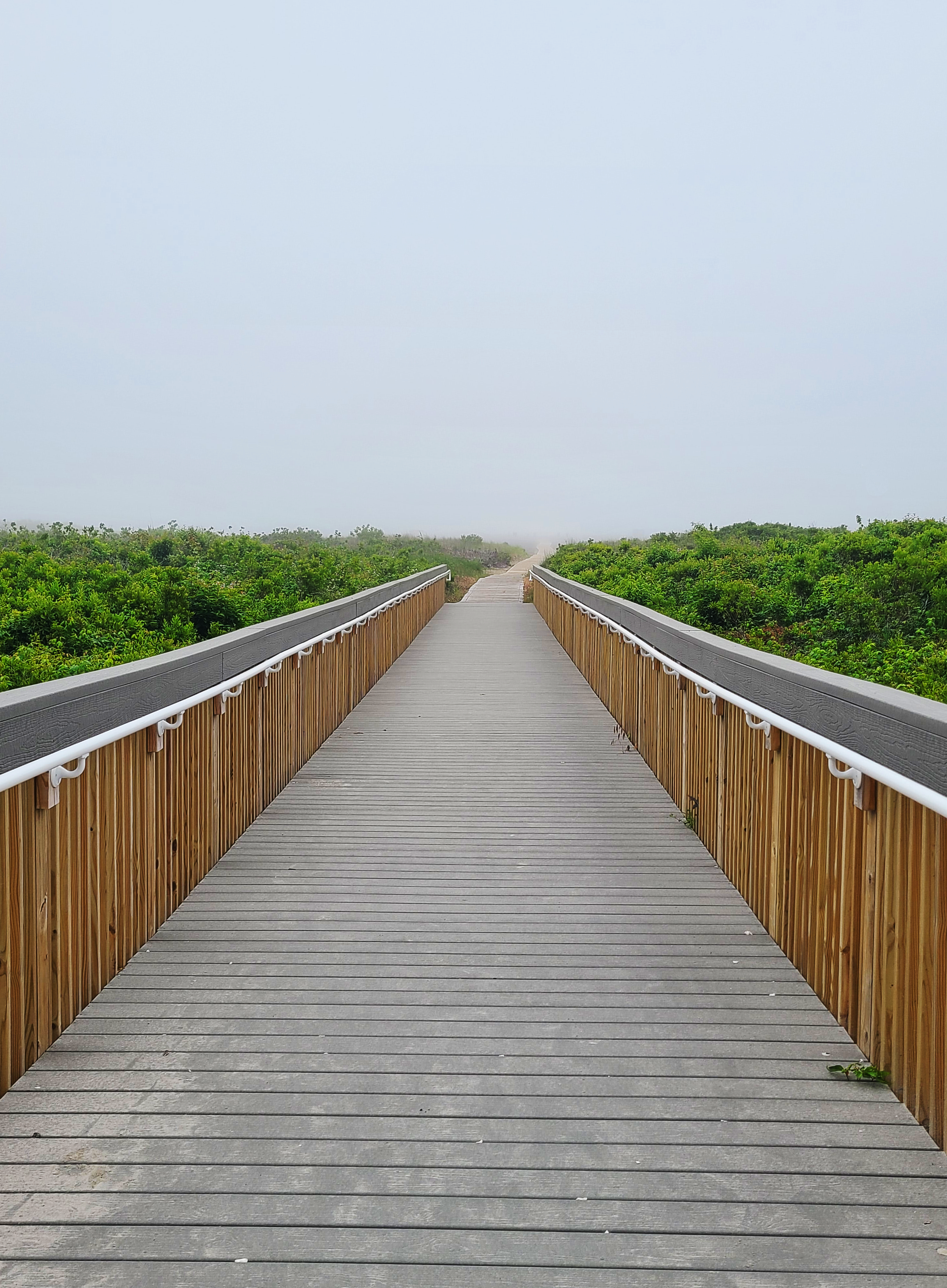 Boardwalk.png