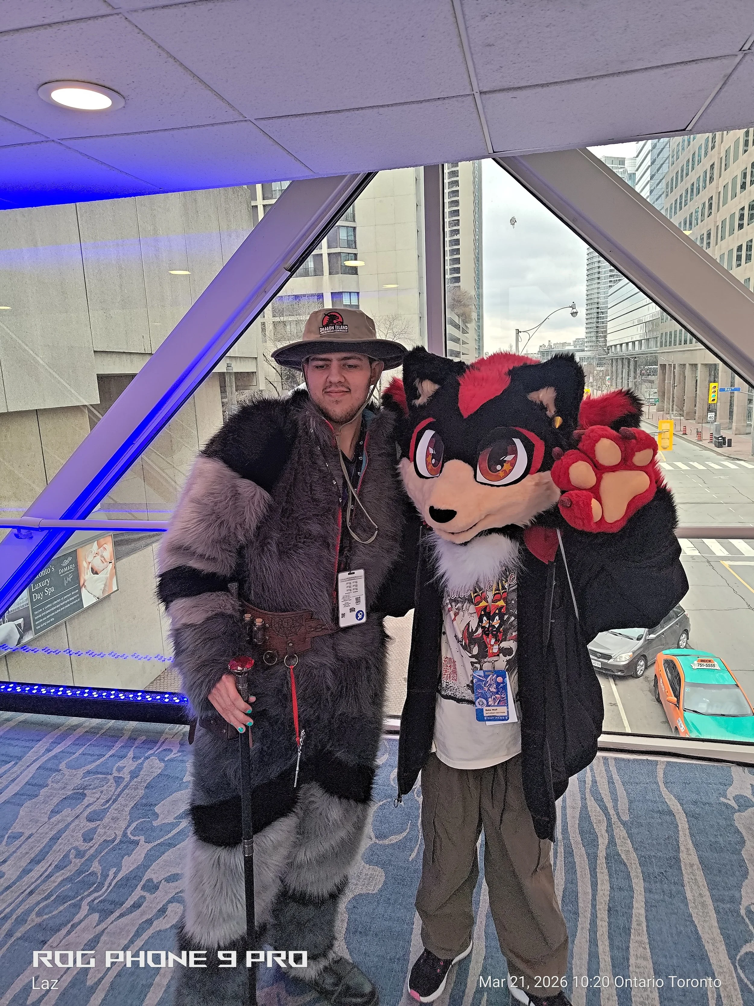 Two people dressed in furry animal costumes pose for a photo inside a building with large windows showing a city street outside. One person wears a wolf costume, and the other a black and red feline costume.
