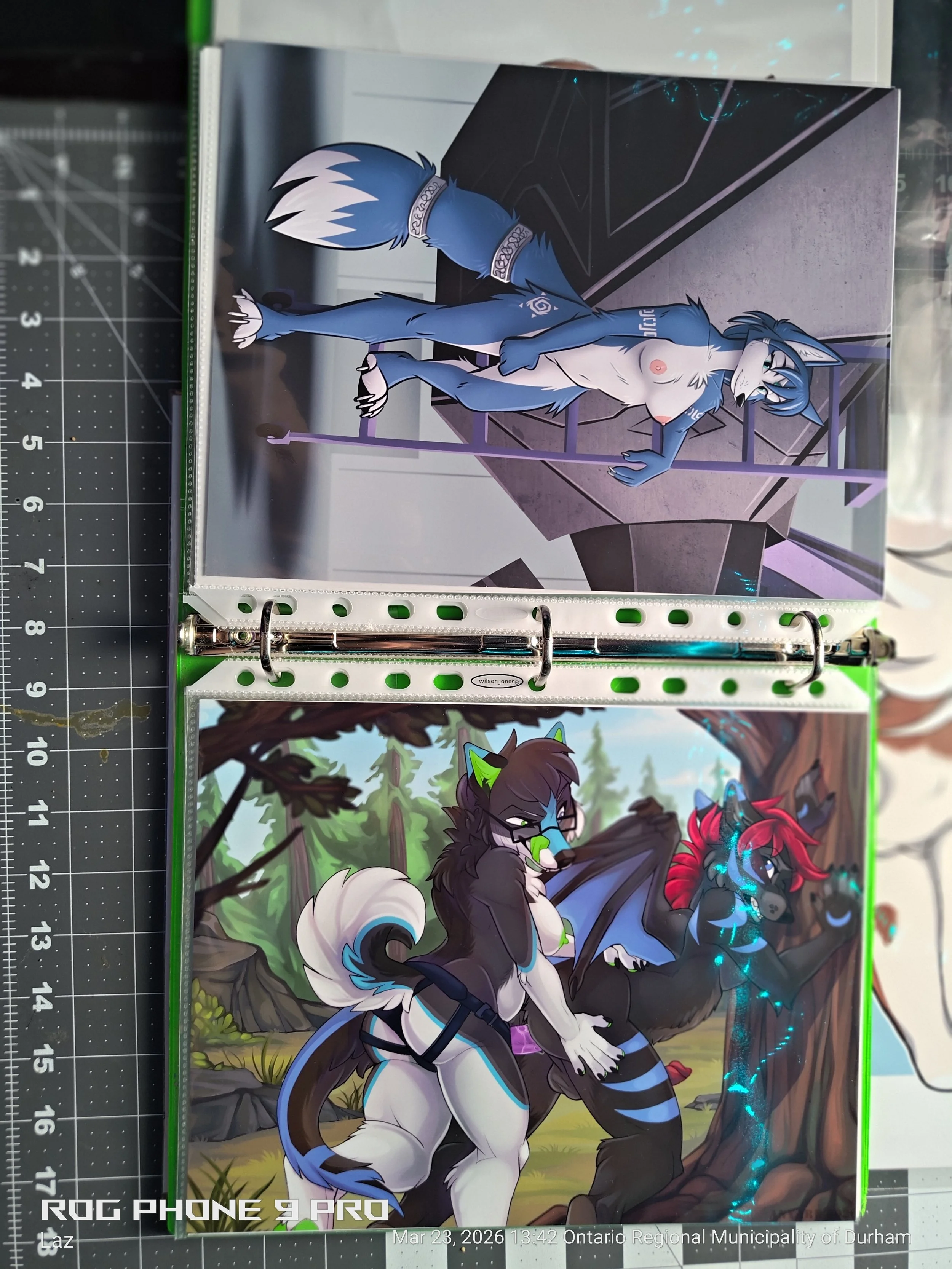 Colorful illustrated poster featuring animal anthropomorphic characters, including a blue and white wolf and a black and white fox, set outdoors among trees and grass.