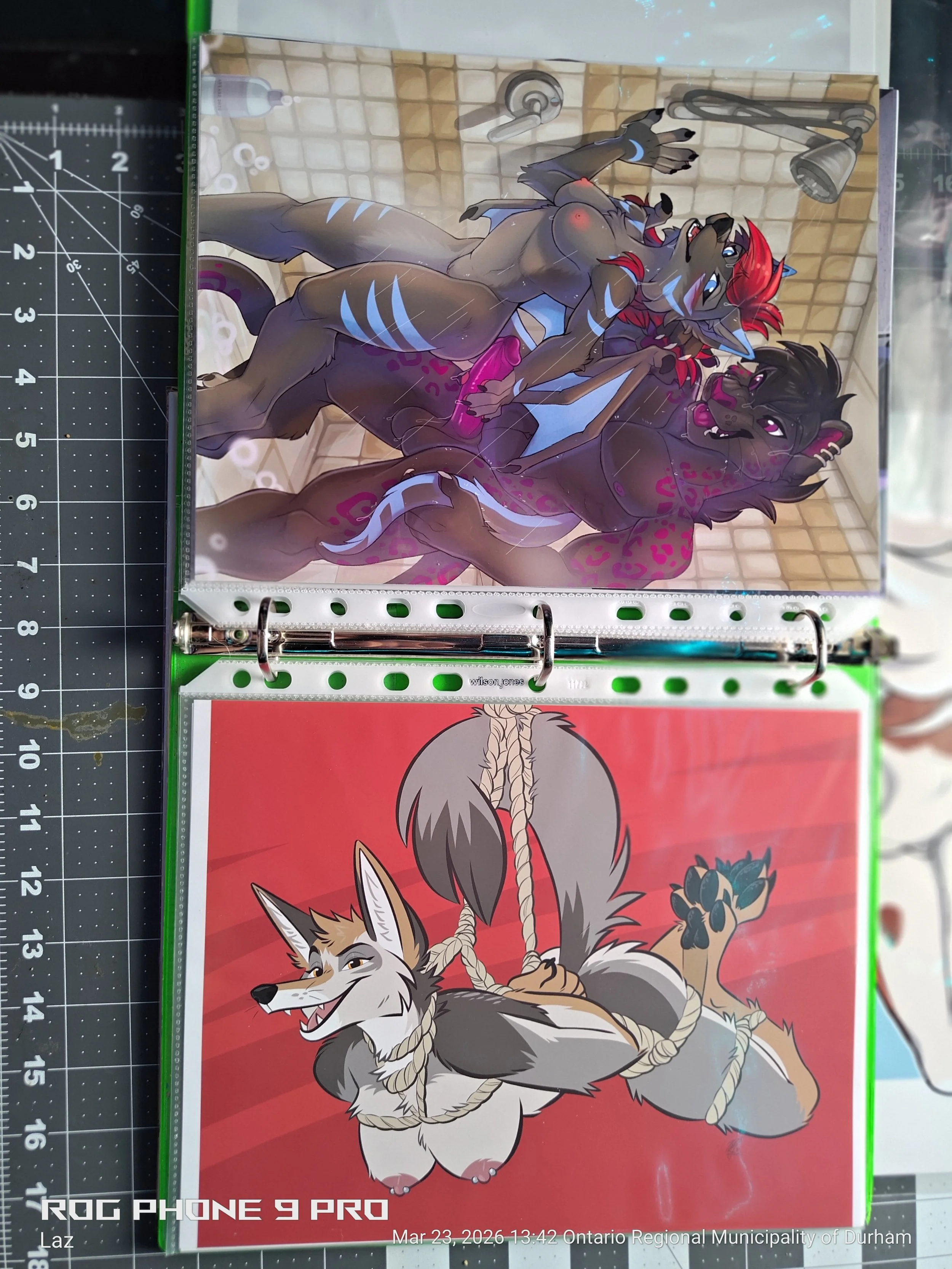 Cover art featuring a stylized illustration of a wolf with red hair and blue markings, holding a leash tied to a large, fluffy dog with gray and white fur and blue markings. The background is a red gradient with a small flower or plant in the lower r