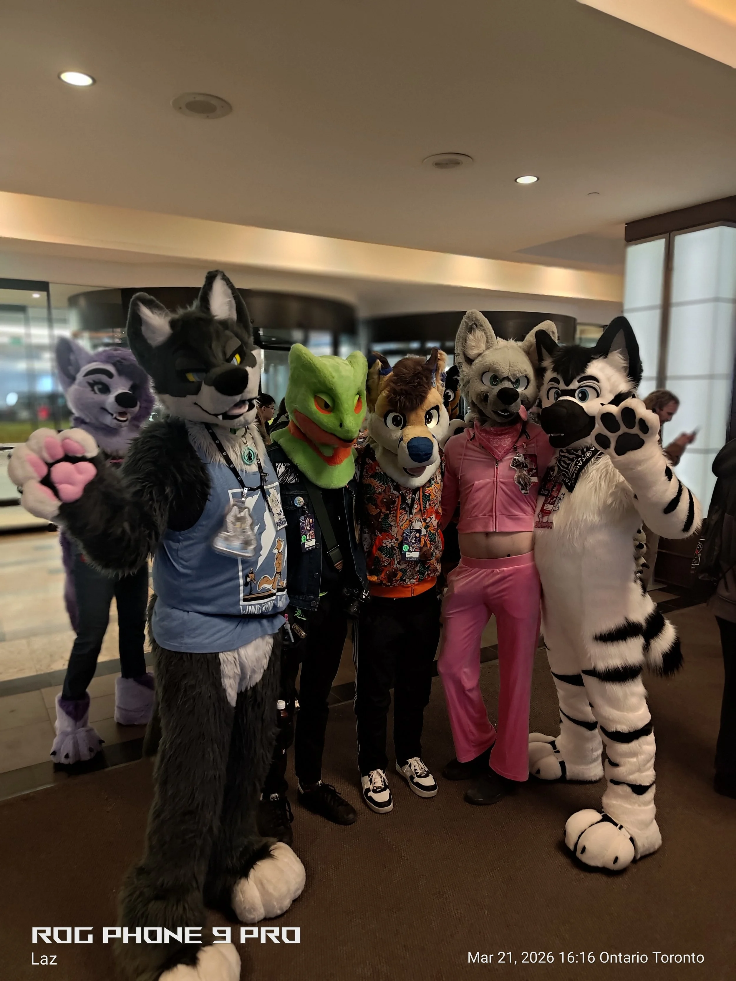 Group of people dressed in animal costumes, including a wolf, a frog, a dog, a raccoon, a tiger, and a wolf, posing together indoors in front of a glass wall.