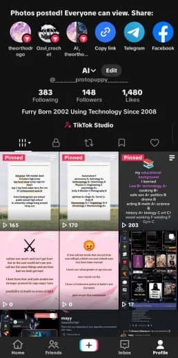 Screenshot of a TikTok profile page showing pinned videos and some of the content shared by the user.