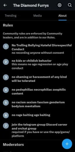 Screenshot of rules and guidelines from The Diamond Furrys community, including bans on trolling, bullying, children, harassment, racist speech, ageism, and baiting, with instructions to join their Discord server.