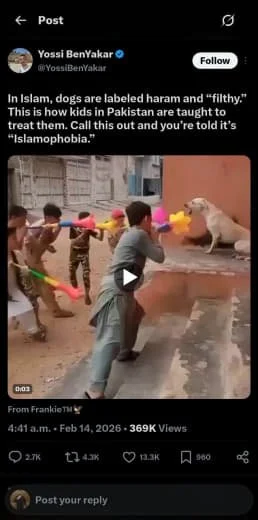 Children in Pakistan playing with puppies in a courtyard, with a man in traditional clothing nearby, and a dog sitting on the ground.