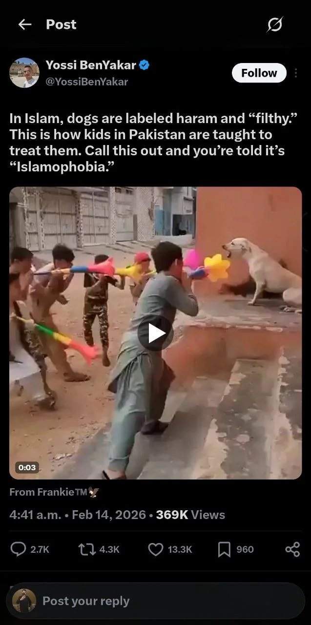 A video screenshot shows children in Pakistan aiming toy water guns at a dog sitting against a wall, with a man nearby.