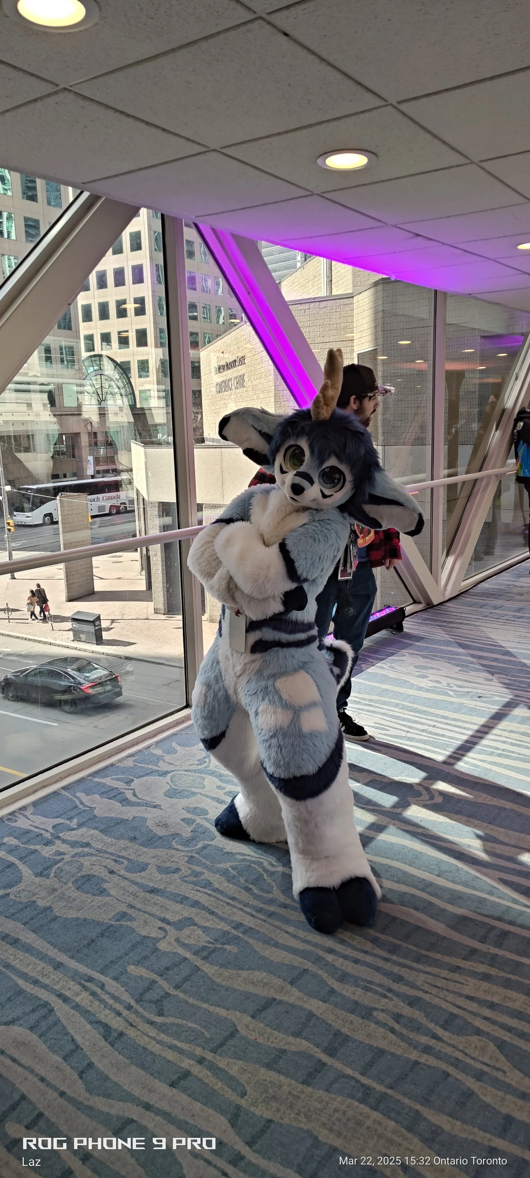 Person in a fursuit, resembling a gray and white anthropomorphic animal with large eyes and animal ears, standing indoors near large windows in a high-rise building.