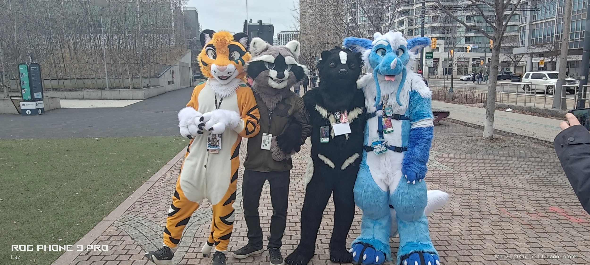 Four people dressed in elaborate animal costumes standing on a city sidewalk, taking a group photo. The costumes include a tiger, a raccoon, a black and white dog, and a blue and white dragon. They are wearing badges and lanyards, with buildings and 