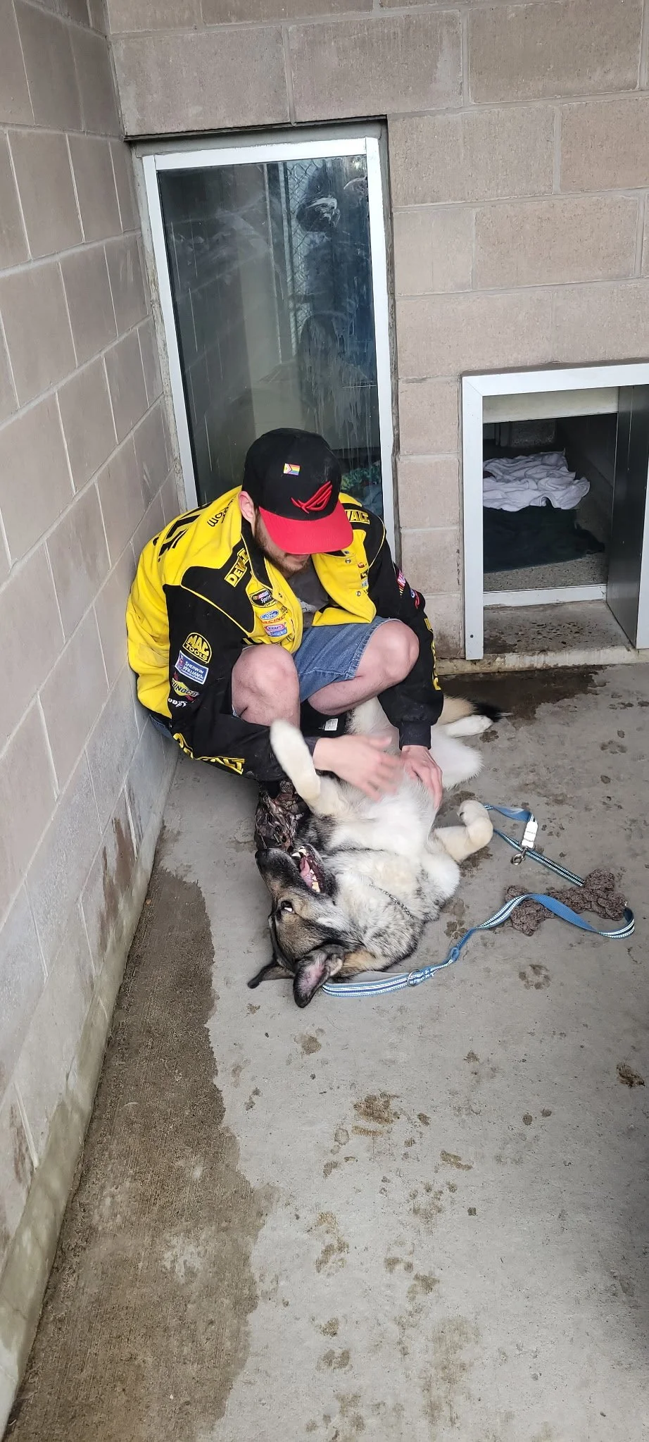 A man in a yellow racing jacket and black cap sitting on the floor, playing with a large wolf dog lying on its back. The setting appears to be indoors or in a garage area with concrete floor and a brick wall.