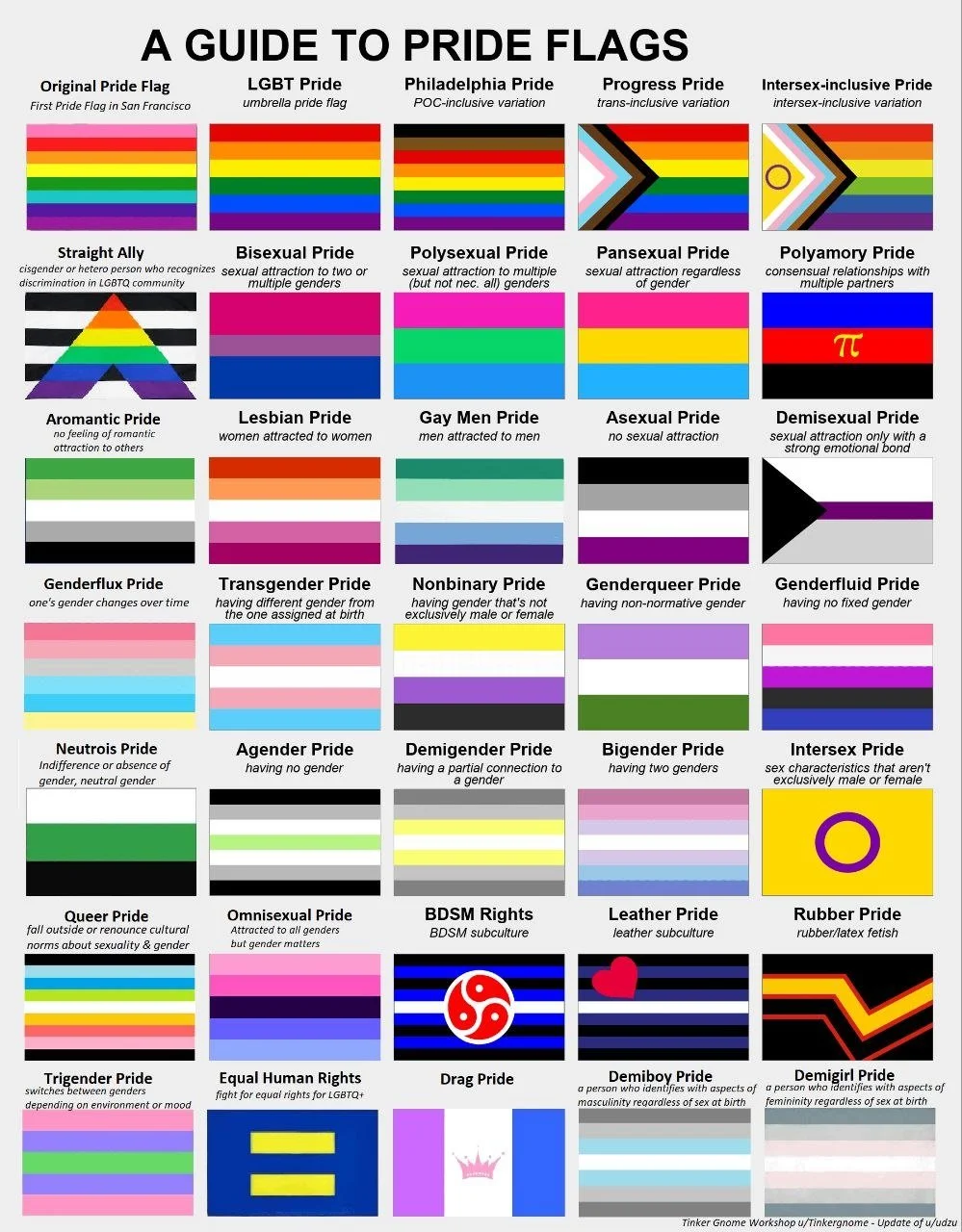 A chart titled 'A Guide to Pride Flags' displaying various pride flags with their names, descriptions, and associated themes.