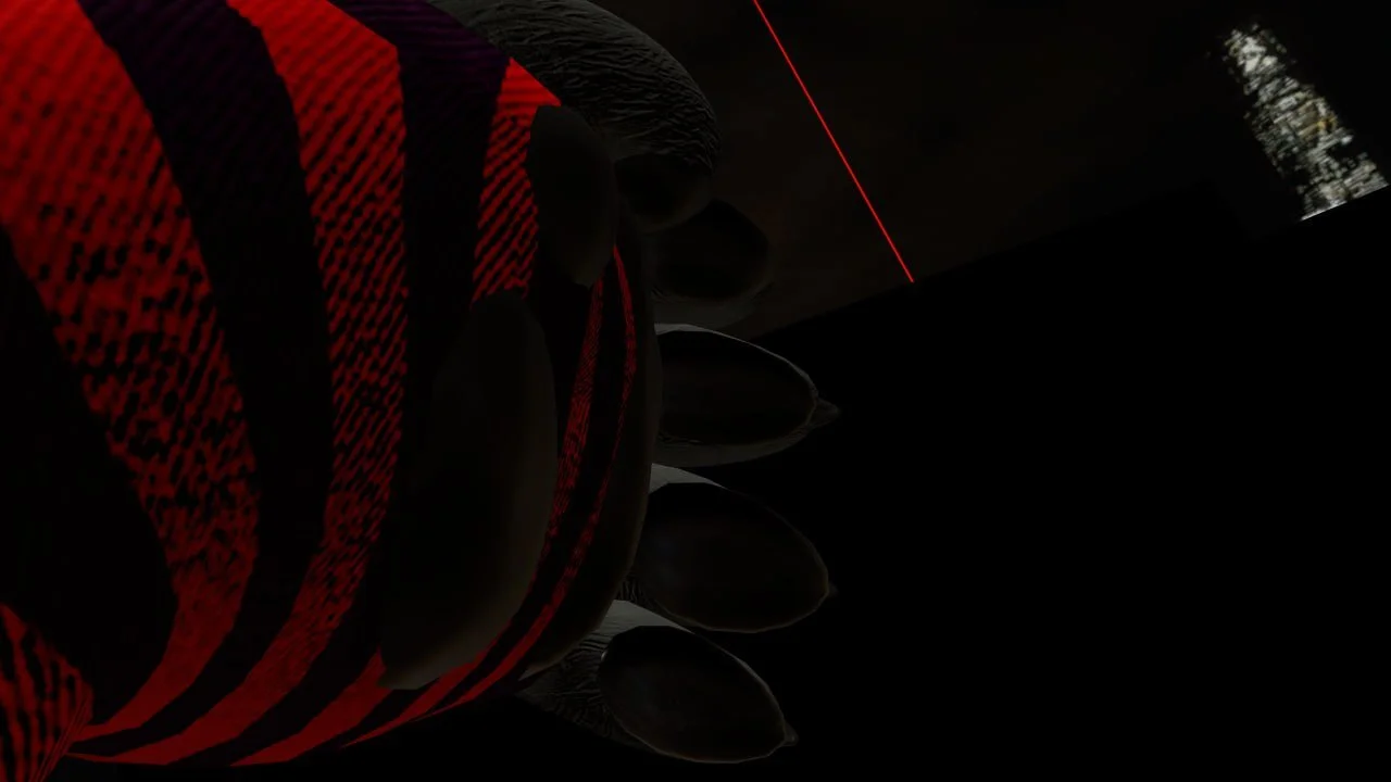 Close-up of a foot wearing a red and black striped sock, with a dark background and a red laser line.
