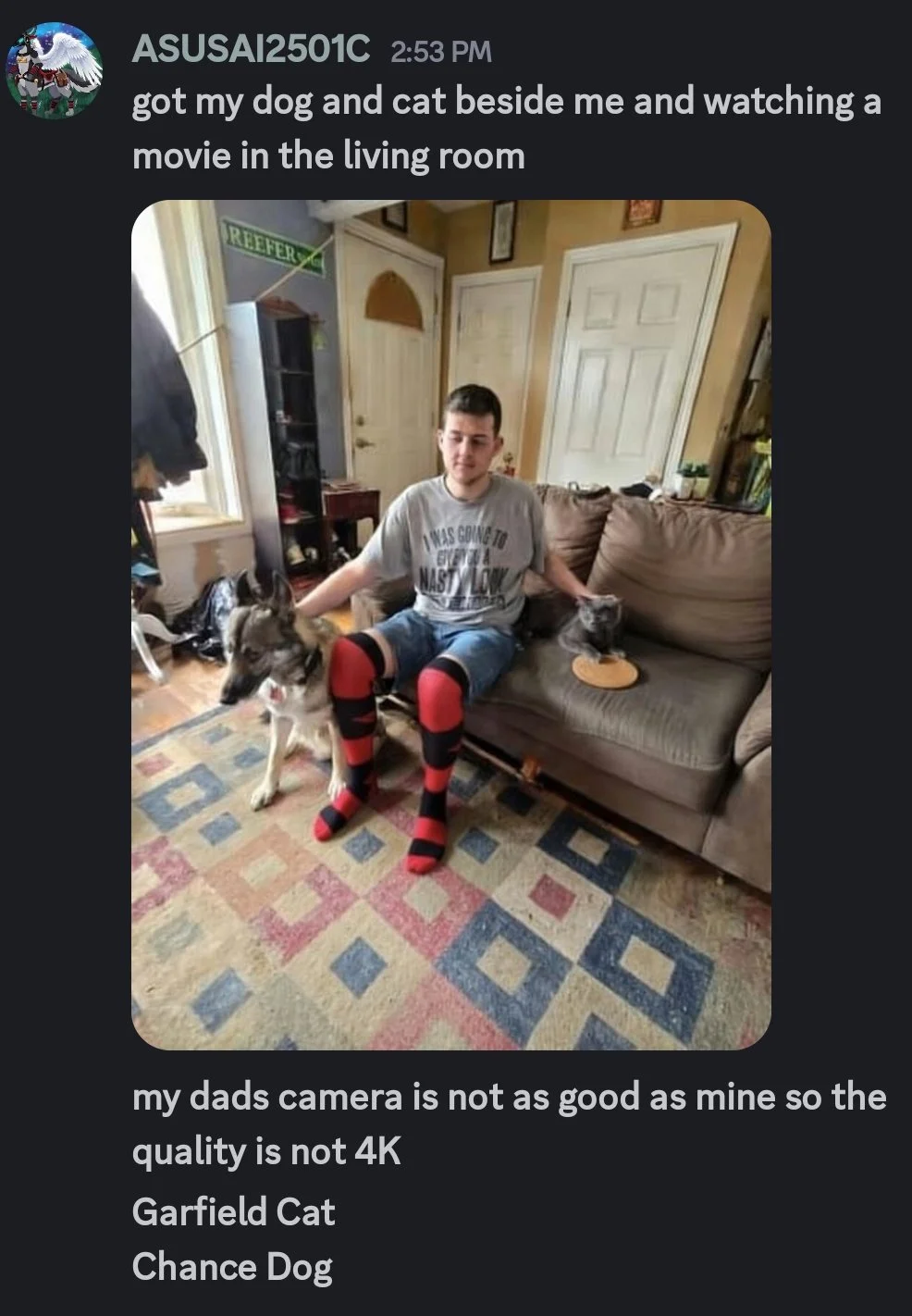 A young man sitting on a brown couch in a living room with two dogs, one on each side of him. The dog on the left is a husky, and the dog on the right is a gray cat sitting on a small plate.
