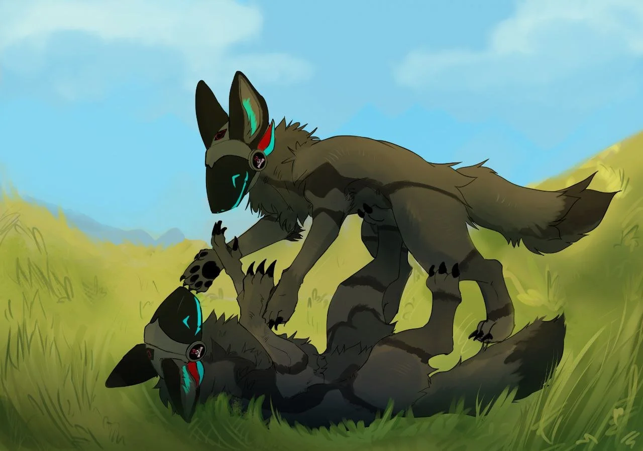 Two animated wolves with cybernetic masks fighting on grassland under a blue sky.
