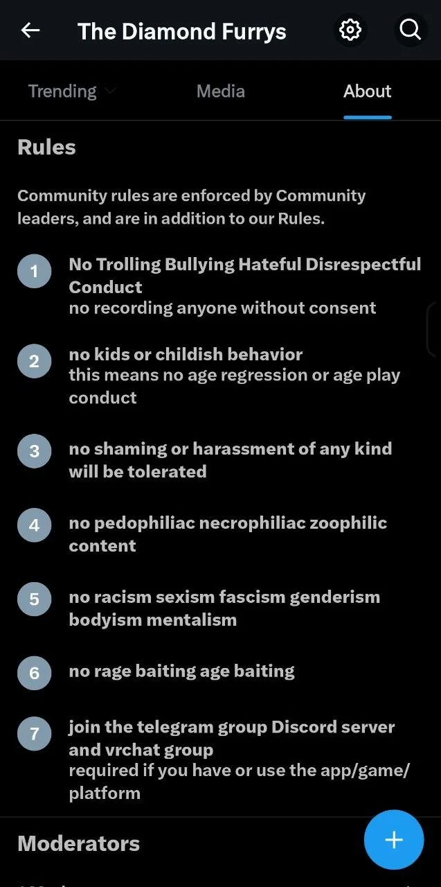 Screenshot of 'The Diamond Furrys' community rules, including prohibitions on bullying, disrespect, childish behavior, shaming, harassment, pedophilia, racism, and rage baiting, with instructions to join their Discord server.