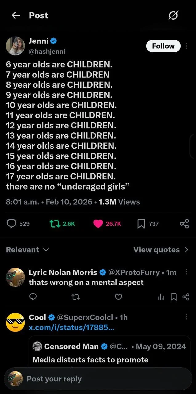 Screenshot of a social media post with a text message about age and children, stating that from age 6 to 17, they are all children, and asserting there are no underaged girls.
