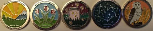 Collection of five circular pins with various designs: a sunrise over a landscape, tulips, a sheep in a meadow, a starry night sky, and an owl.