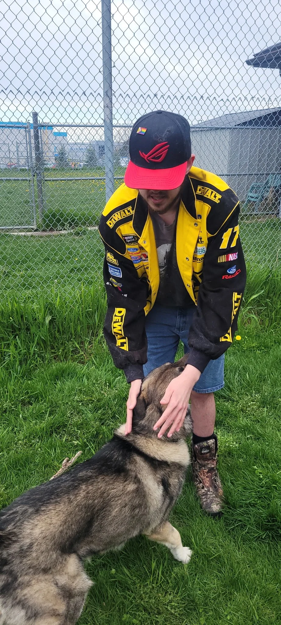 A man wearing a black and yellow racing jacket and a baseball cap petting a large German Shepherd dog on a grassy outdoor area near a chain-link fence.