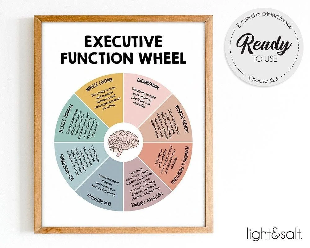 Poster titled "Executive Function Wheel" with a circular chart divided into segments describing various executive functions, centered around a brain illustration, in a wooden frame.