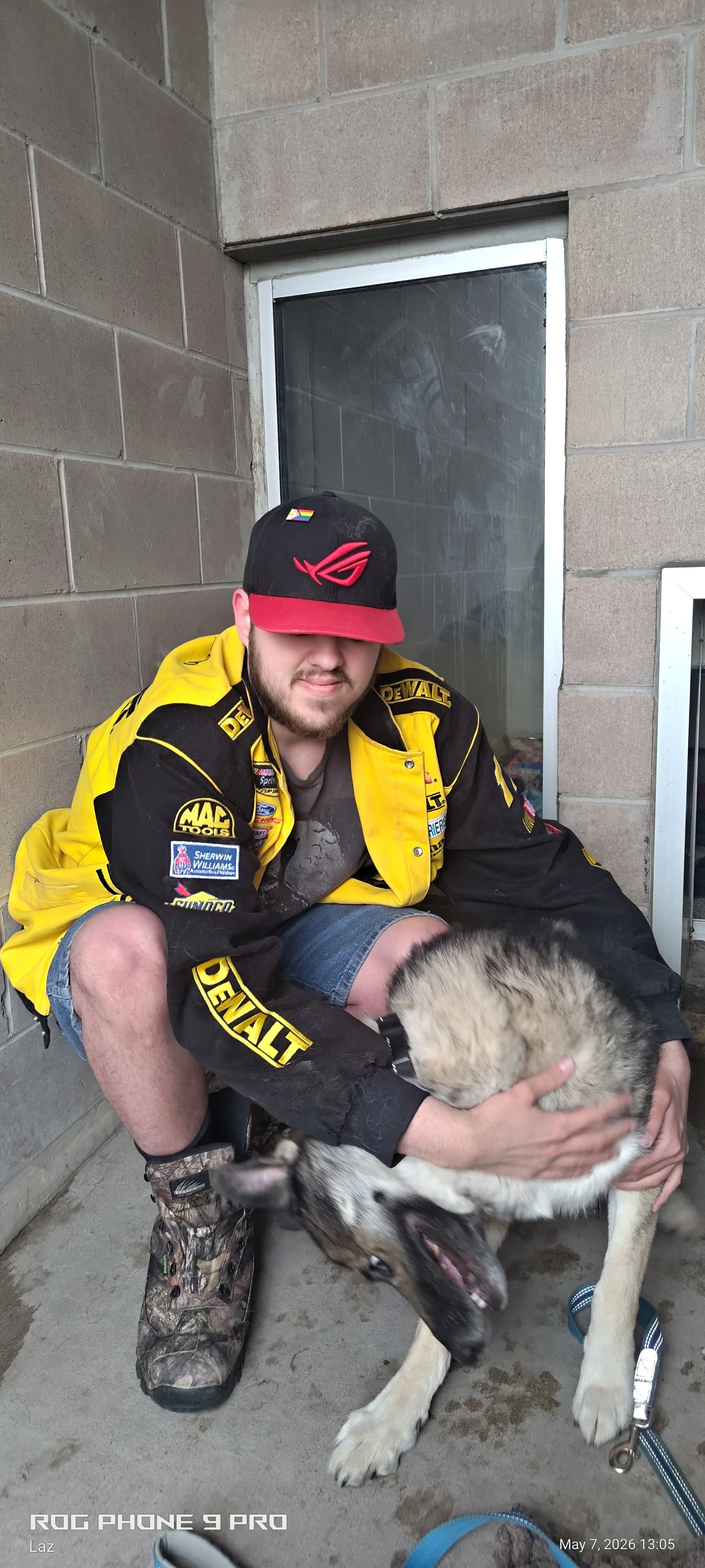 A man wearing a yellow and black racing jacket, camouflage boots, and a black baseball cap with a red bill and the ROG logo, sitting on a concrete floor holding a large Siberian Husky puppy, with another puppy on the dog's neck. The man is sticking o