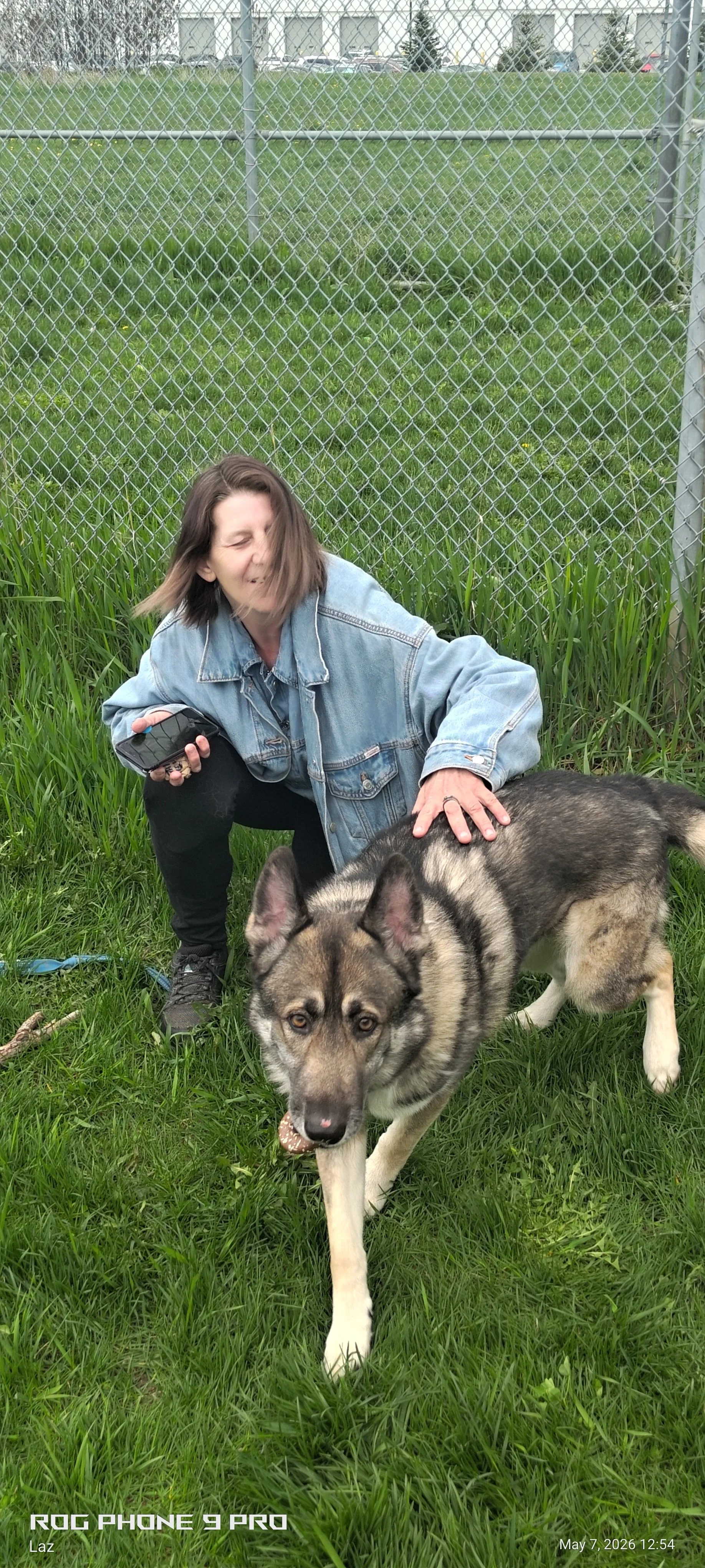 A woman with shoulder-length brown hair, wearing a blue denim jacket, kneeling on green grass and petting a large, gray and white Siberian Husky dog with striking eyes. The woman is smiling and holding a smartphone.