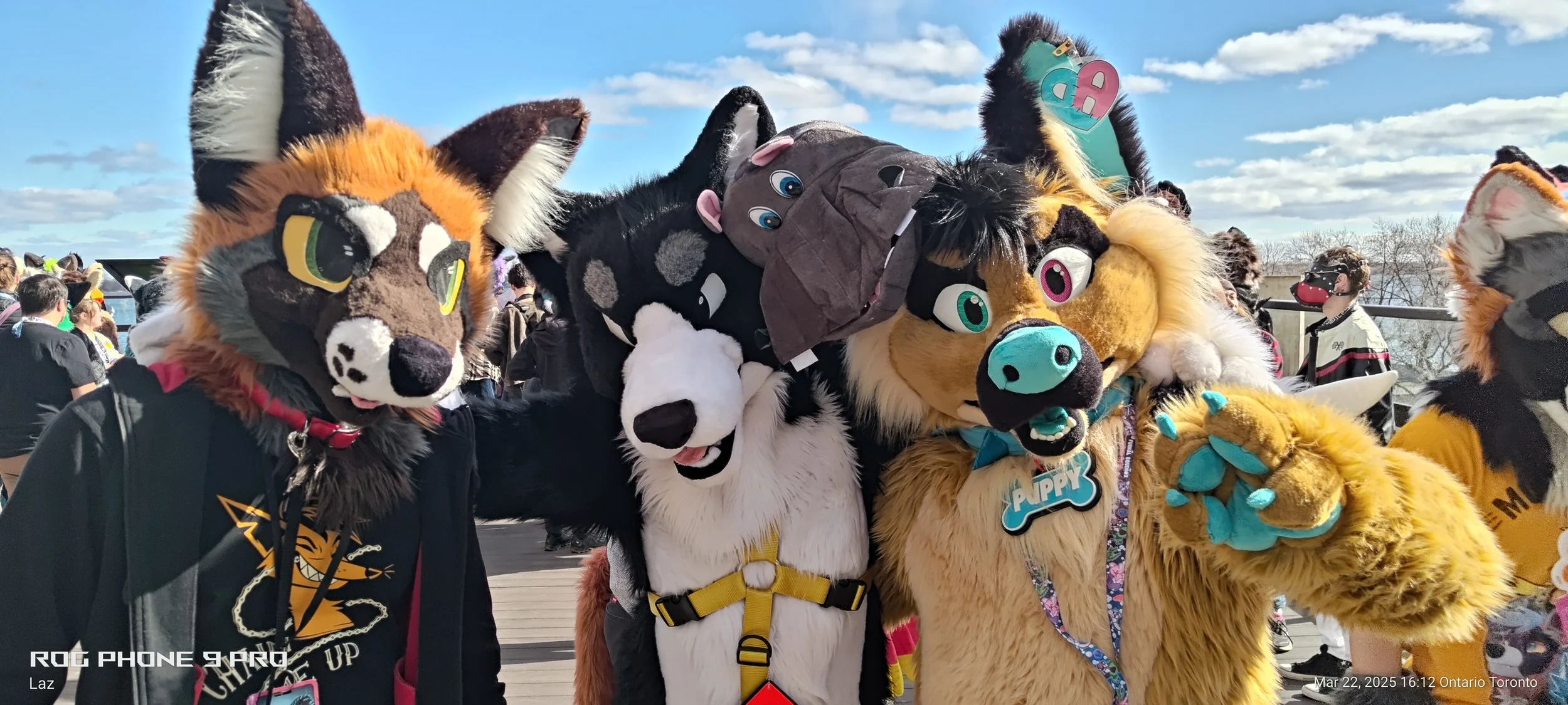 A group of people dressed in colorful animal costumes at a public event outdoors, with a bright blue sky and scattered clouds in the background.