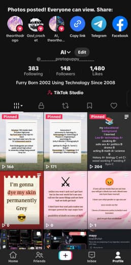 A screenshot of a TikTok profile page showing three pinned videos and account details. The profile includes a description about being born in 2002, using technology since 2008, with 383 following, 148 followers, and 1,480 likes.