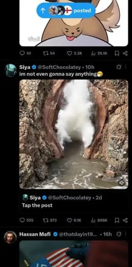 A humorous social media post showing a dog illustration at the top, followed by a tweet from Siya discussing not wanting to say anything, with an image of a river flowing through a gap in rocks, and a reply from Hassan Mafi.