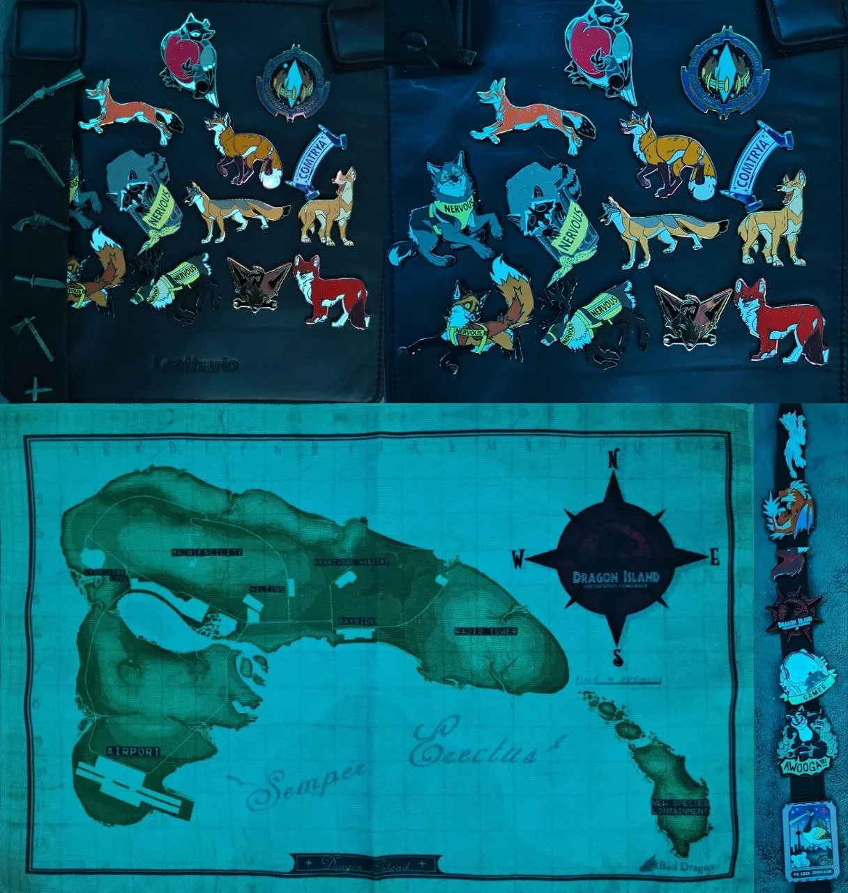 Collection of patches featuring various animals, including wolves and foxes, with labels such as 'Nervous' and 'Contreya', arranged on a dark background. Below is a map of Dragon Island from the game 'Cactuar', showing different locations like an air