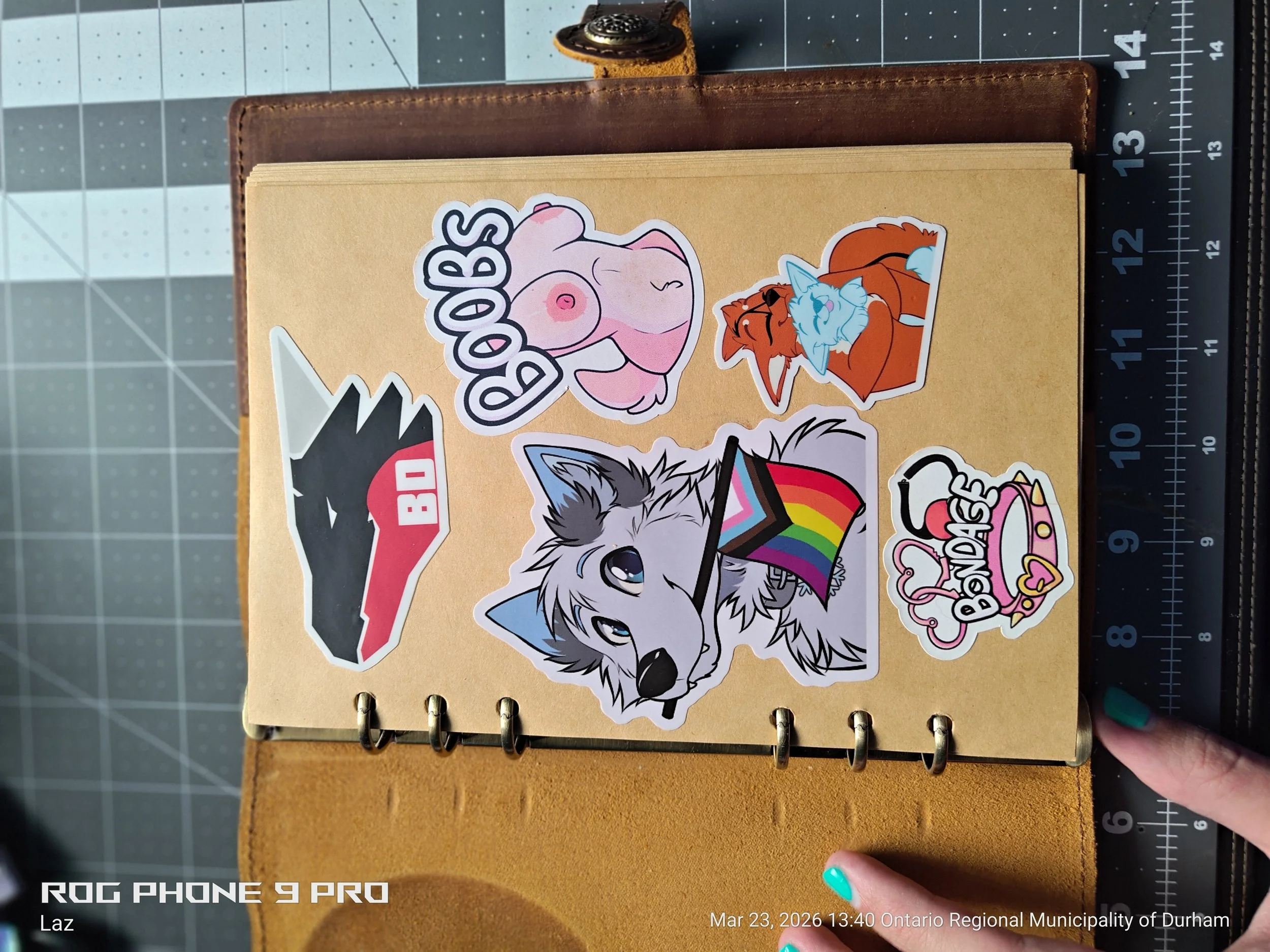 A brown leather-bound notebook with various colorful stickers attached. The stickers include a pink anthropomorphic character with the word "BOOBS," a gray and white dog wearing rainbow-colored glasses, and a cartoon fox with a blue hat. The notebook