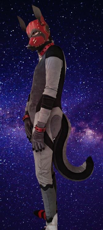 A person in a cat mascot costume with a fox-like mask, standing against a starry night sky background.